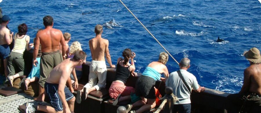 Madeira Pirate Ship: 3-Hour Boat Trip - The “pirate ship” vibe: showtime on open water