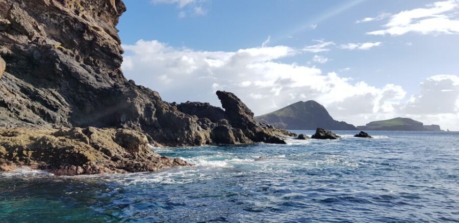 Madeira: Ponta de São Lourenço Lighthouse Boat Tour - Pico Frade’s endemic tree moment (and why it matters)