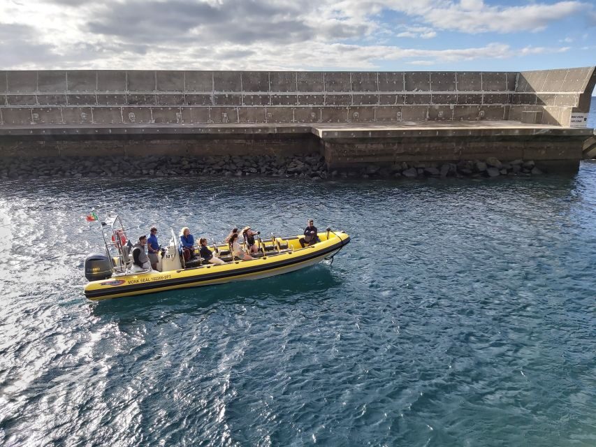 Madeira: Ponta de São Lourenço Lighthouse Boat Tour - Elephant Rock and the joy of the right drop-off