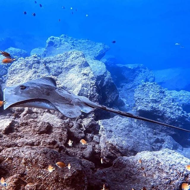 Madeira, Ponta São Lourenço: Scuba Diving for Beginners - Where you meet and how to keep the start stress-free