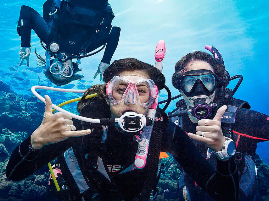 Madeira, Ponta São Lourenço: Scuba Diving for Beginners - What the 45-minute ocean outing feels like in practice