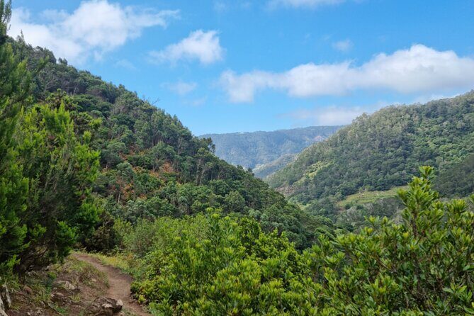 Madeira Porto da Cruz to Machico Self Hiking Tour with Transfer - Should you book the Porto da Cruz to Machico Vereda do Larano hike?