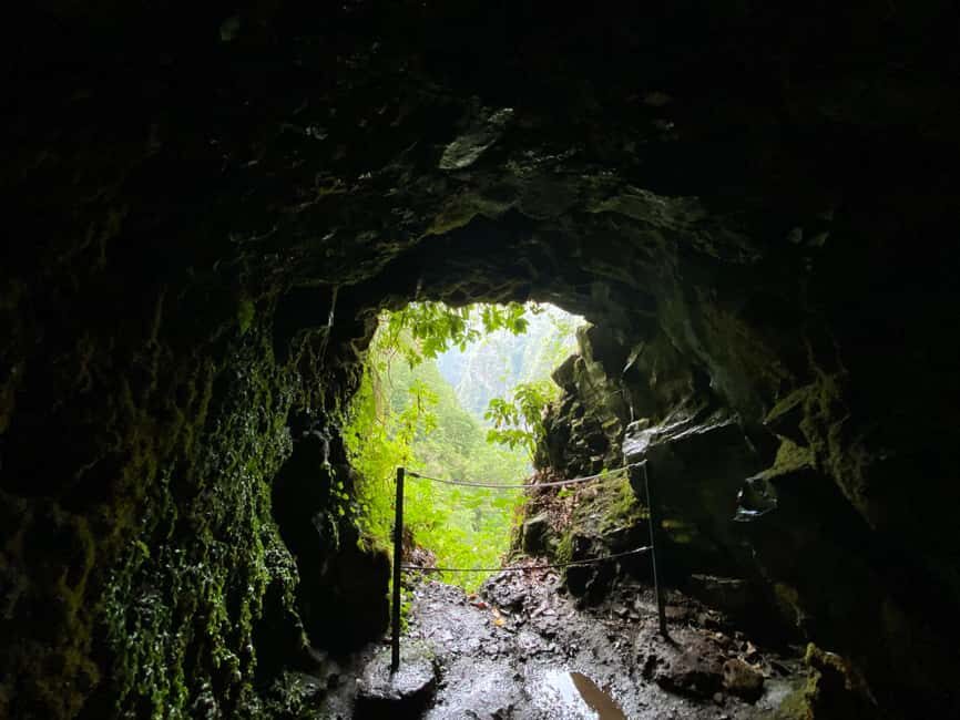 Madeira: PR 9 - Levada do Caldeirão Verde Hike Transfer - Key highlights you should care about