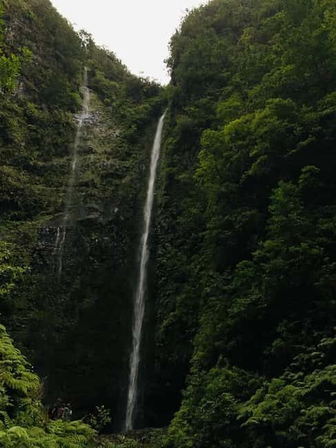 Madeira: PR 9 - Levada do Caldeirão Verde Hike Transfer - Price and value: what $47 really buys you