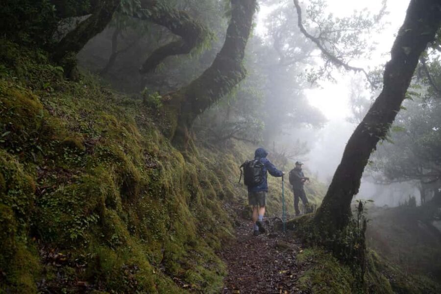Madeira: PR 9 - Levada do Caldeirão Verde Hike Transfer - Pickup in Funchal, Caniço, or Garajau: the part you’ll feel most