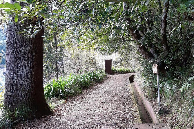 Madeira: Private 1.5-Kilometer Levada dos Balcões Hike PR11 - Why this PR11 Levada dos Balcões hike feels worth the time
