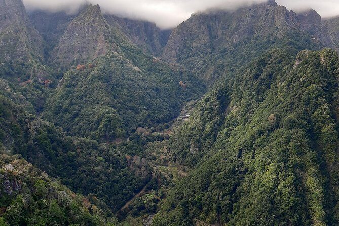 Madeira: Private 1.5-Kilometer Levada dos Balcões Hike PR11 - Your guide and driver: the difference between seeing and understanding