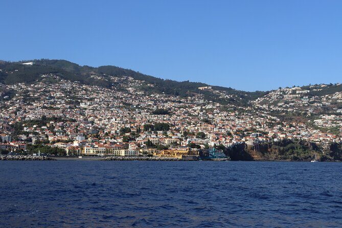 Madeira Private Boat Tour from Funchal - Price and value: what $469.60 buys for up to 6 people
