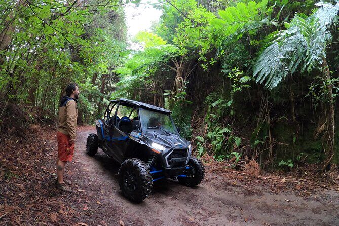 Madeira Private Buggy Adventure: Forest and Mountains - Safety Briefing and “Mountain Driving, Not a Rally”