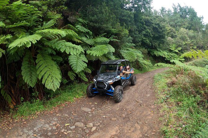 Madeira Private Buggy Adventure: Forest and Mountains - Meeting Point and What “Private” Means in Real Life