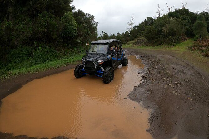 Madeira Private Buggy Adventure: Forest and Mountains - Mountain Roads, Off-Road Thrills, and the View-First Mindset