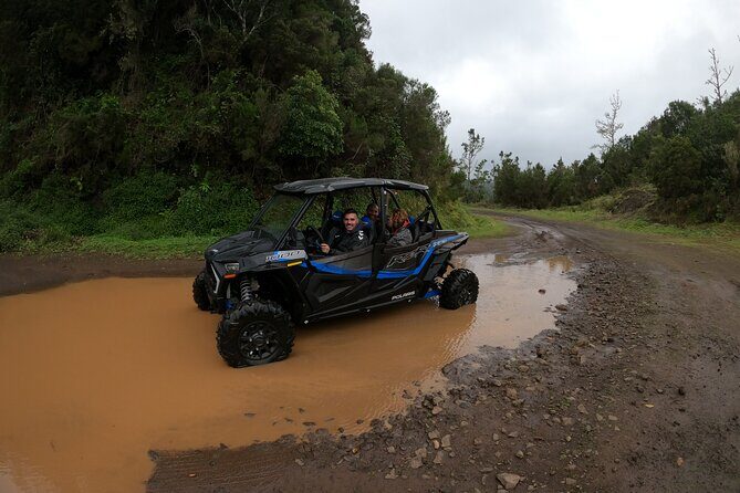 Madeira Private Buggy Adventure: Forest and Mountains - Photos and GoPro Media: Real Value, Not Just a Nice Bonus