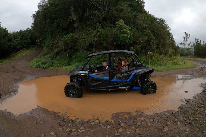 Madeira Private Buggy Adventure: Forest and Mountains - Flexible Stops and a Guide Who Adjusts to Your Group
