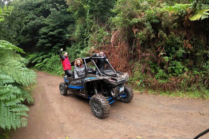 Madeira Private Buggy Adventure: Forest and Mountains - What You Should Bring (And What You Should Not Assume)