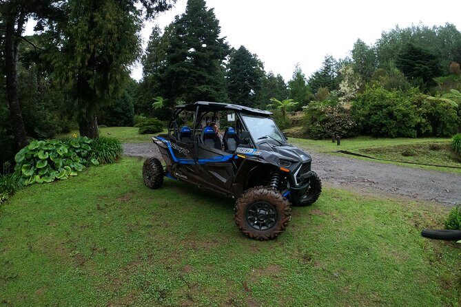 Madeira Private Buggy Adventure: Forest and Mountains - Stop 1: Laurissilva Forest—Why This Spot Matters