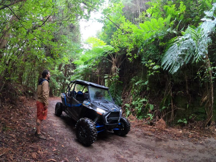 Madeira Private Buggy Adventure: Mountains and Forests - Who this tour suits best—and who should skip it