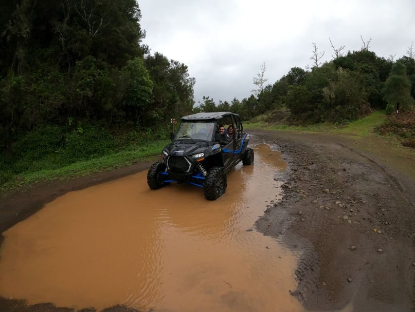 Madeira Private Buggy Adventure: Mountains and Forests - What this 3.5-hour buggy adventure really feels like