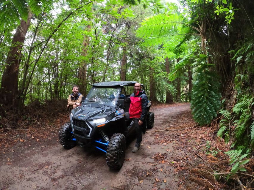 Madeira Private Buggy Adventure: Mountains and Forests - Pico Alto to Portela: the viewpoint chain that makes Madeira click