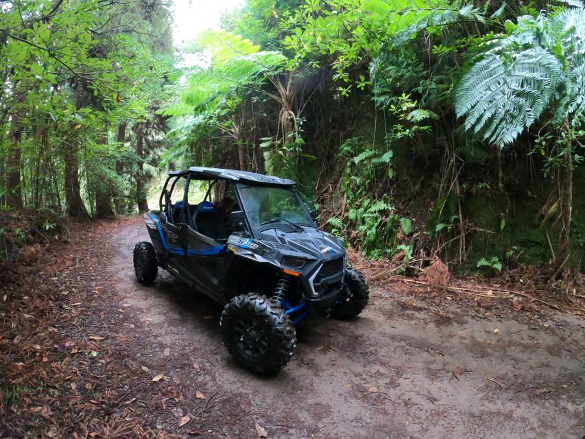 Madeira Private Buggy Adventure: Mountains and Forests - On-road plus off-road: what to expect from the trail time