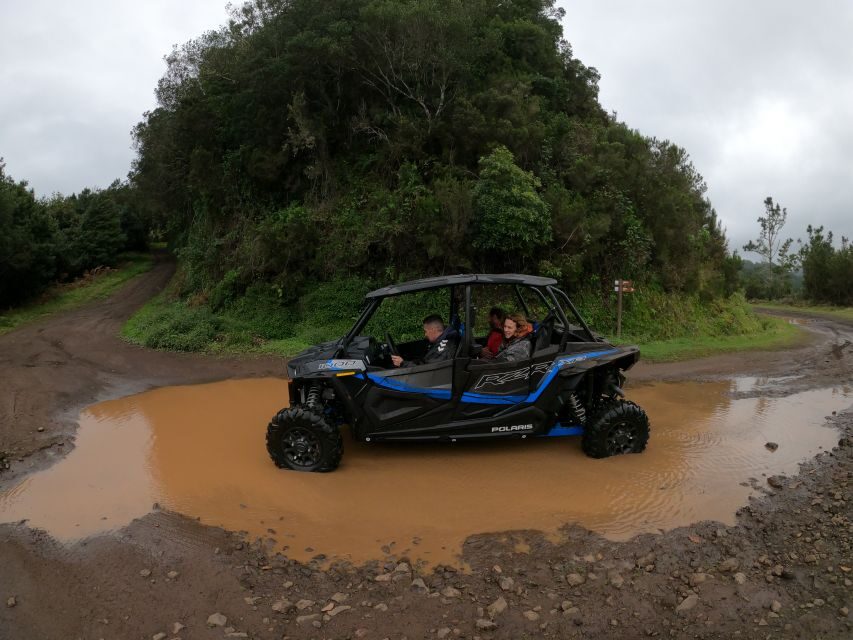 Madeira Private Buggy Adventure: Mountains and Forests - Photos and media: keep the memories without handling a camera