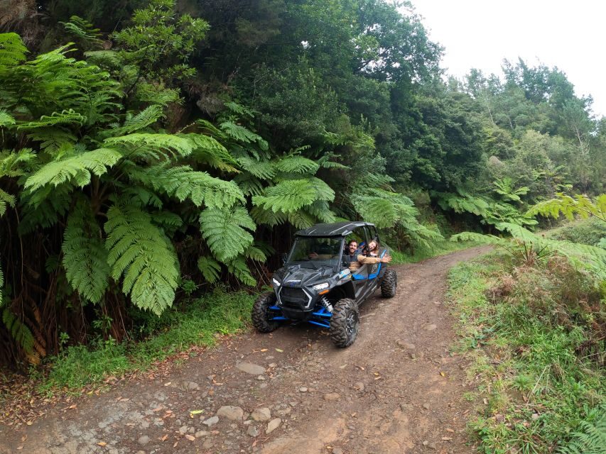 Madeira Private Buggy Adventure: Mountains and Forests - Driver requirements and what to bring (so you don’t regret it later)