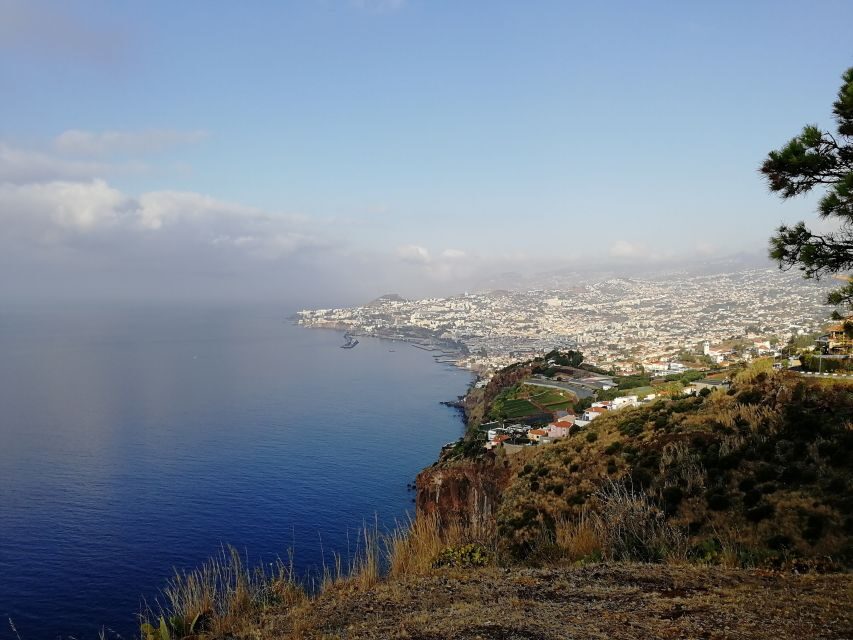 Madeira: Private Garajau Tour by Tukxi - Miradouro do Pináculo: the city view you can’t fake