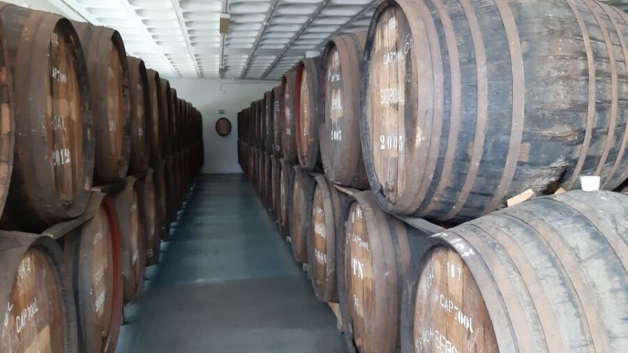 Madeira: Private Half-Day Wine Tasting Tour - The Winery Tour: What You Actually Do at Henriques & Henriques