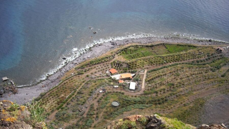 Madeira: Private Half-Day Wine Tasting Tour - The Pace and Tradeoffs: Short, Private, and Slightly One-Note
