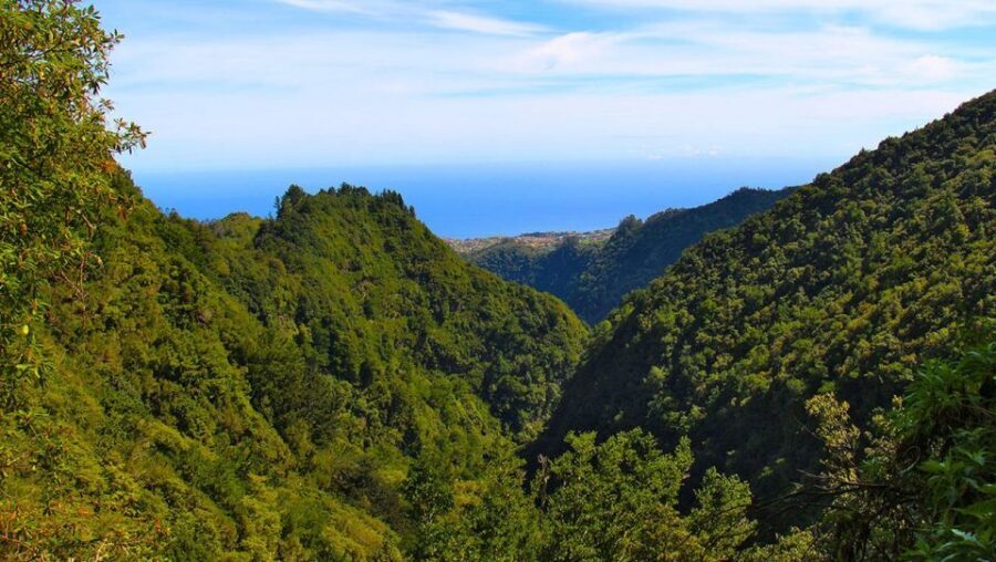 Madeira: Queimadas, Caldeirão Verde and Levada Walk - Starting at Queimadas Guest House: How You Get Into the Walk