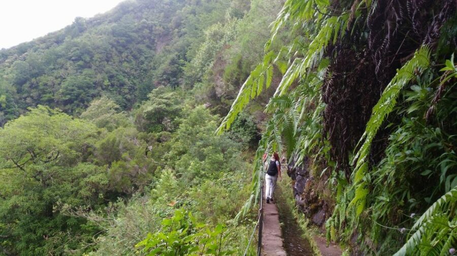 Madeira: Queimadas, Caldeirão Verde and Levada Walk - The Guide Factor: Making It More Than a Walk