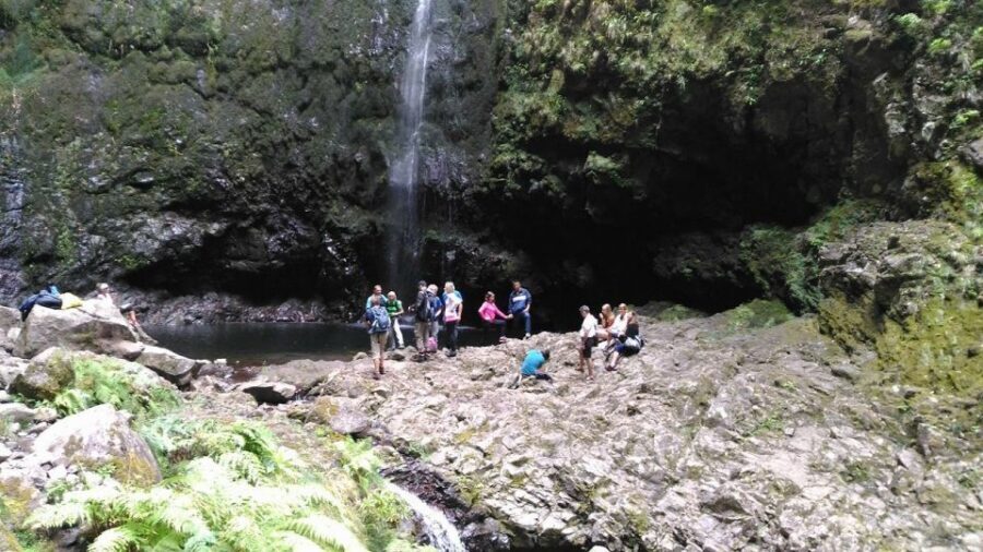 Madeira: Queimadas, Caldeirão Verde and Levada Walk - Timing and Pace: A Solid Half-Day in the Mountains