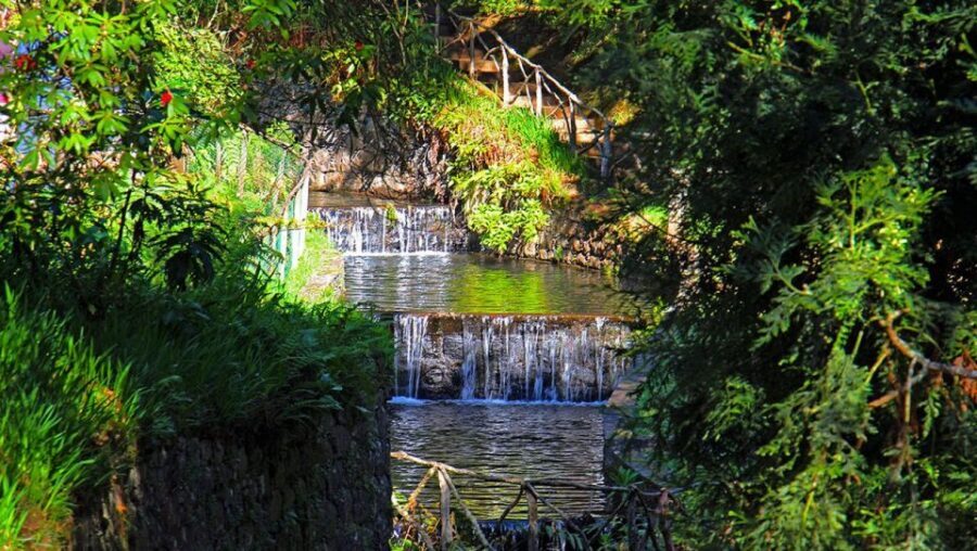 Madeira: Queimadas, Caldeirão Verde and Levada Walk - Pickup, Location, and What to Plan Around