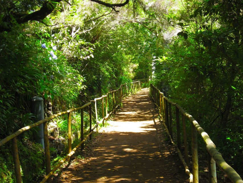 Madeira: Queimadas, Caldeirão Verde and Levada Walk - Price and Value: Is $50 Fair for an 8-Hour Walk?