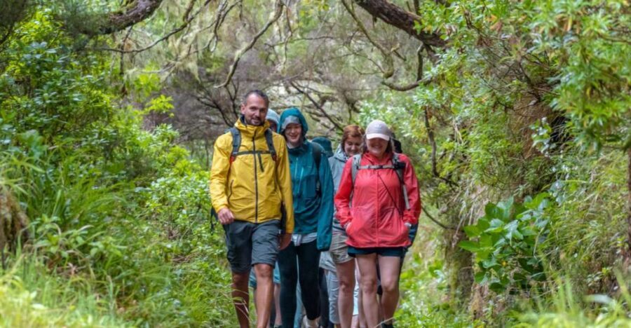 Madeira: Rabaçal 25 Fountains Levada Walk & Cabo Girão - Off-Road Down to the South Coast: Eucalyptus and Fun (With a Catch)