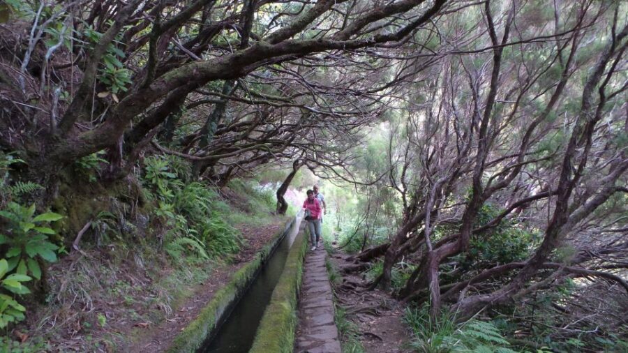 Madeira: Rabaçal 25 Fountains Levada Walk & Cabo Girão - Price and Value: Why $67 Feels Fair (and When It Might Not)