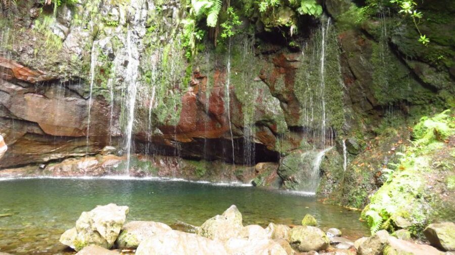Madeira: Rabaçal, Risco and 25 Fontes Guided Hiking Tour - Key highlights worth your attention