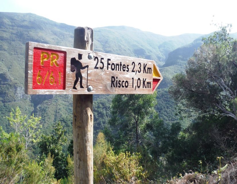 Madeira: Rabaçal, Risco and 25 Fontes Guided Hiking Tour - Levada Nova do Rabaçal: the long walk that turns into a nature lesson