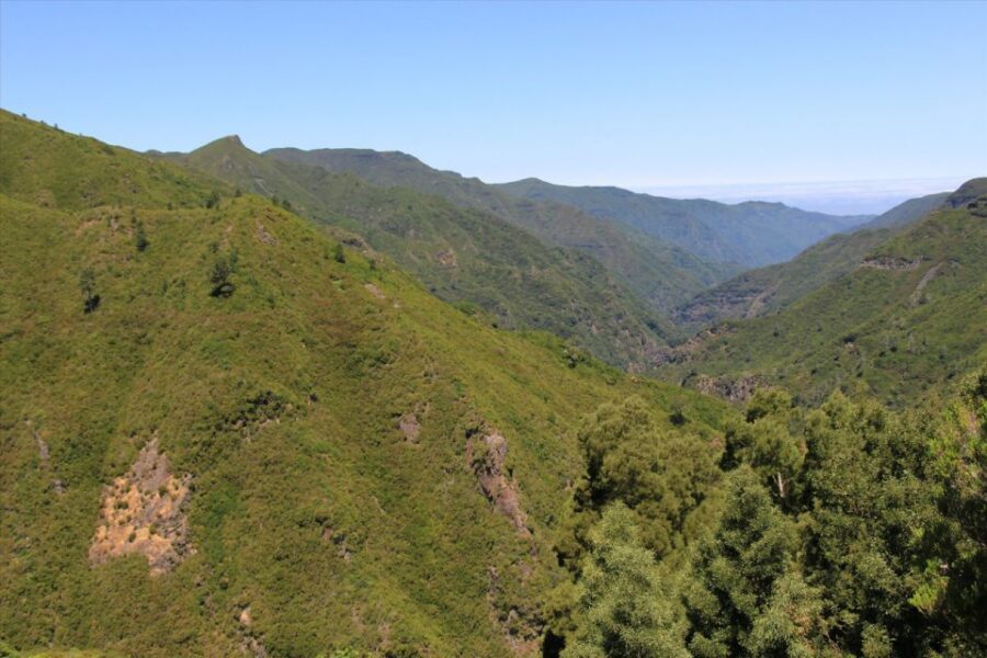 Madeira: Rabaçal, Risco and 25 Fontes Guided Hiking Tour - Price and value: does $47 really pencil out?