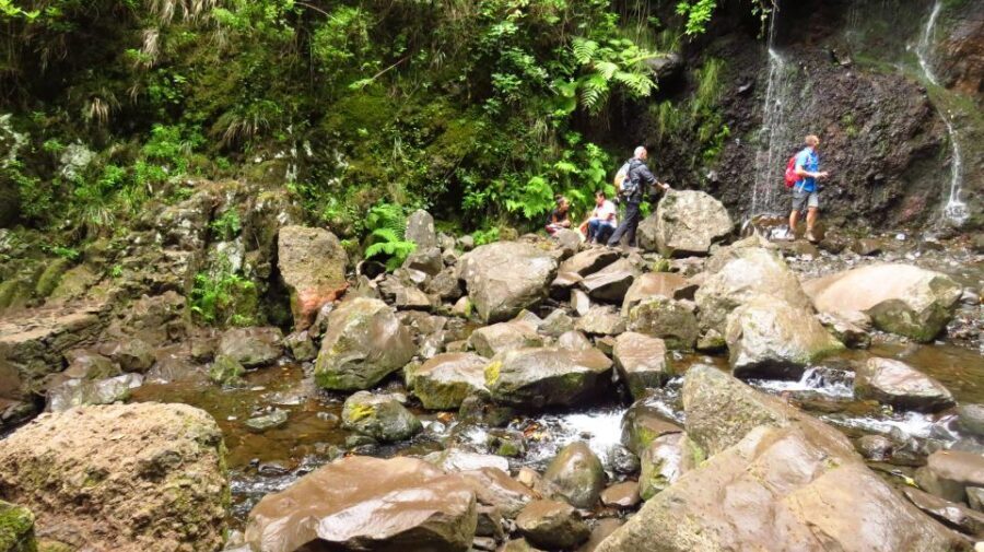 Madeira: Rabaçal, Risco and 25 Fontes Guided Hiking Tour - Who this Madeira hike is perfect for