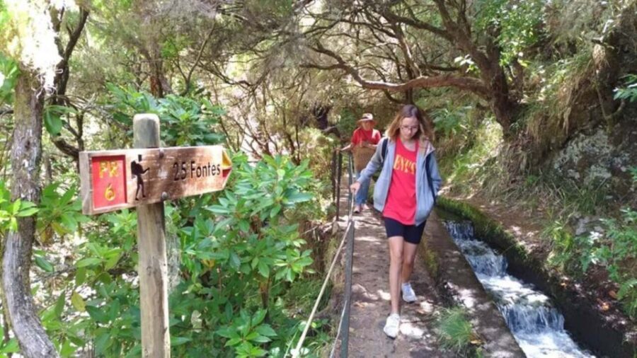 Madeira: Rabaçal, Risco and 25 Fontes Guided Hiking Tour - Levada do Risco: following water to the Risco waterfall