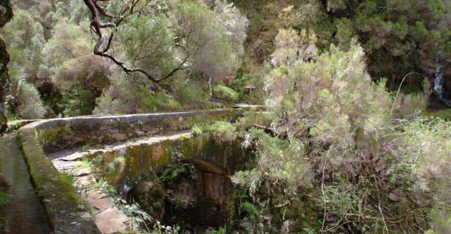 Madeira: Rabaçal Valleys 3-Hour Guided Walk - Key reasons this guided walk earns its reputation