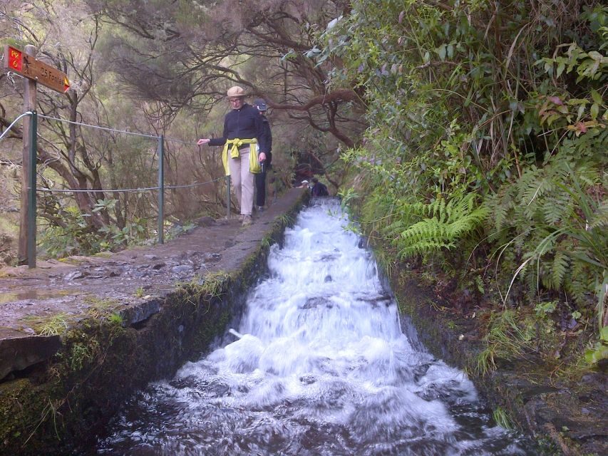 Madeira: Rabaçal Valleys 3-Hour Guided Walk - Why Rabaçal’s levadas and UNESCO Laurisilva work so well on foot