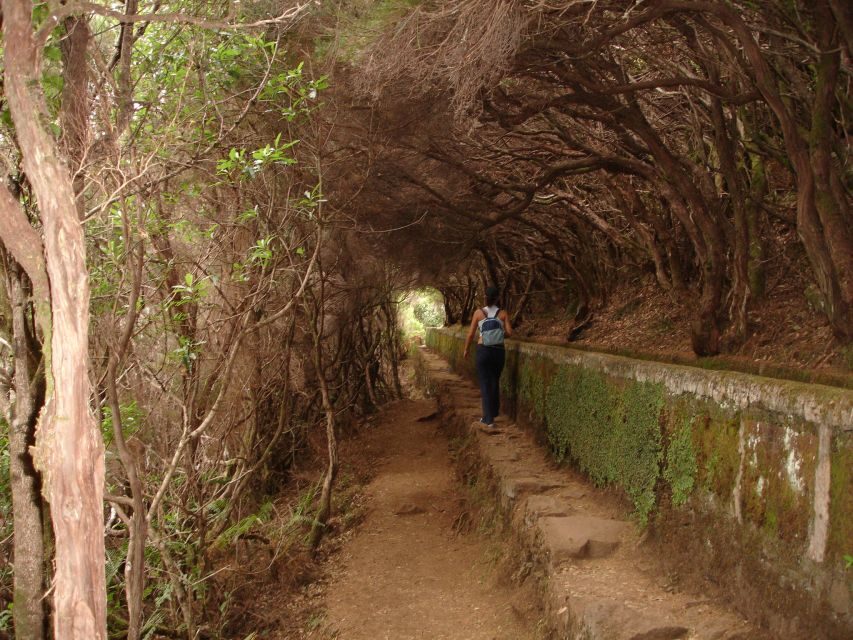 Madeira: Rabaçal Valleys 3-Hour Guided Walk - Waterfalls and springs: what to watch for during the walk