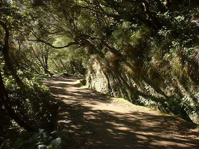 Madeira: Rabaçal Valleys 3-Hour Guided Walk - Group vibe, guide style, and languages (Spanish to German)