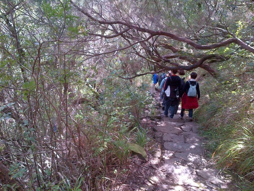 Madeira: Rabaçal Valleys 3-Hour Guided Walk - Hotel pickup and the fact your day may run long