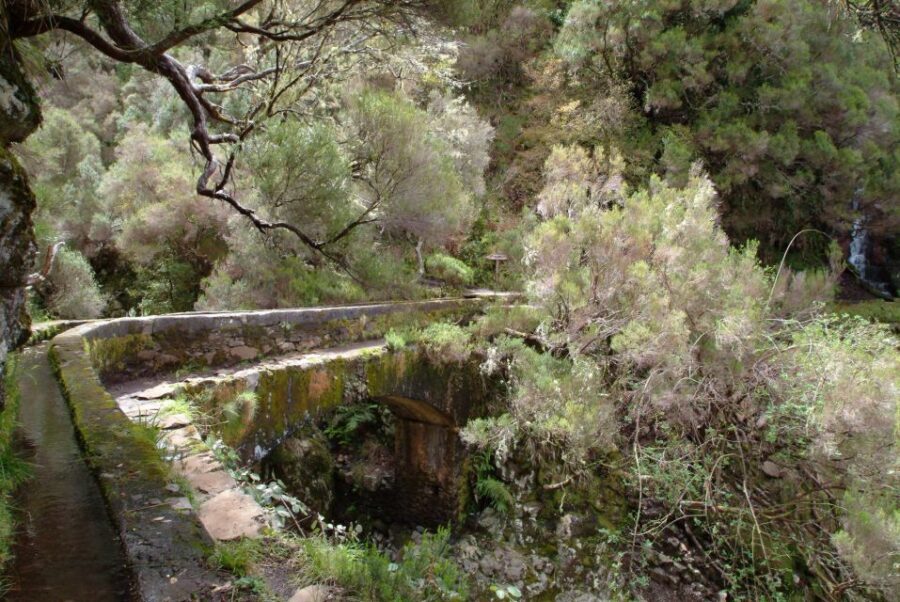 Madeira: Rabaçal Valleys 3-Hour Guided Walk - Who this walk suits best (and who should skip it)