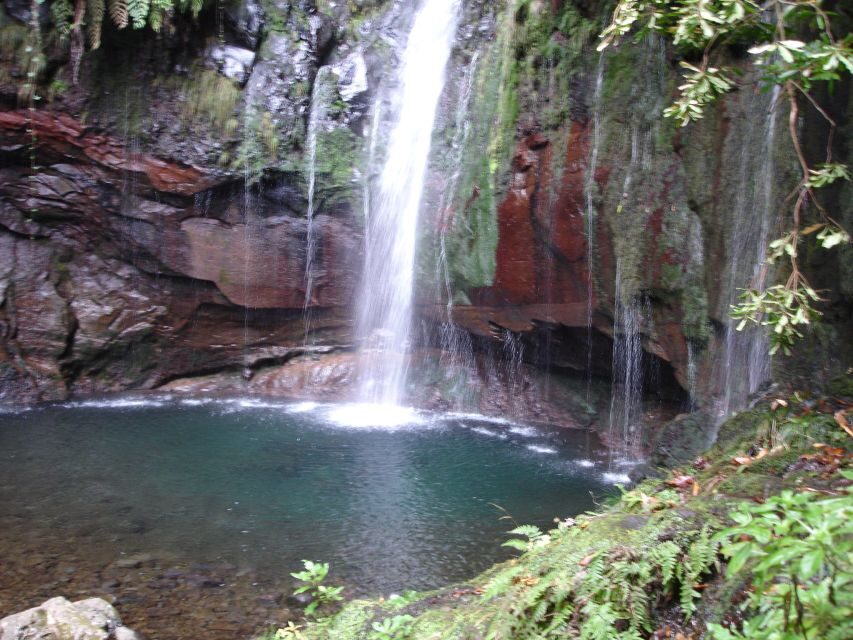 Madeira: Rabaçal Valleys 3-Hour Guided Walk - The route reality: 10 km, moderate footing, and waterfall timing