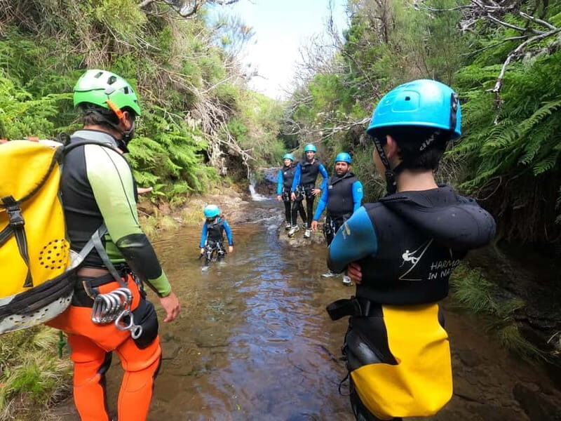 Madeira : Ribeira das Cales Canyoning (Level 1) - Key Things I’d Focus on Before You Go