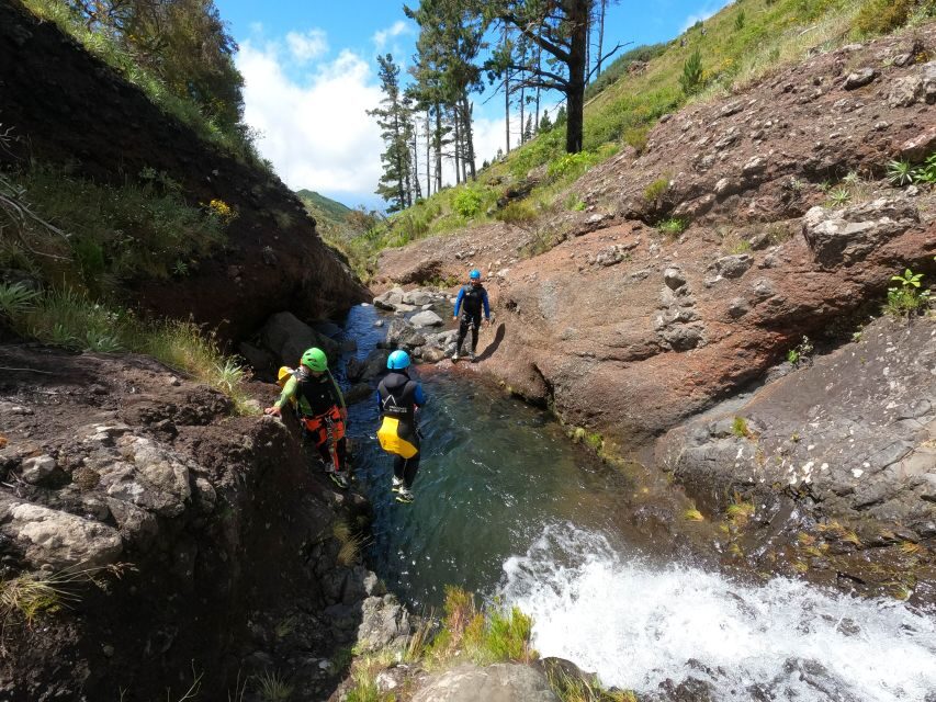 Madeira : Ribeira das Cales Canyoning (Level 1) - Who This Madeira Canyoning Fits Best (and Why)