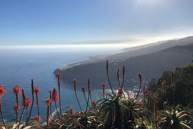 Madeira Safari - East of the island - Weather Matters More Than You Think on a 4x4 Day